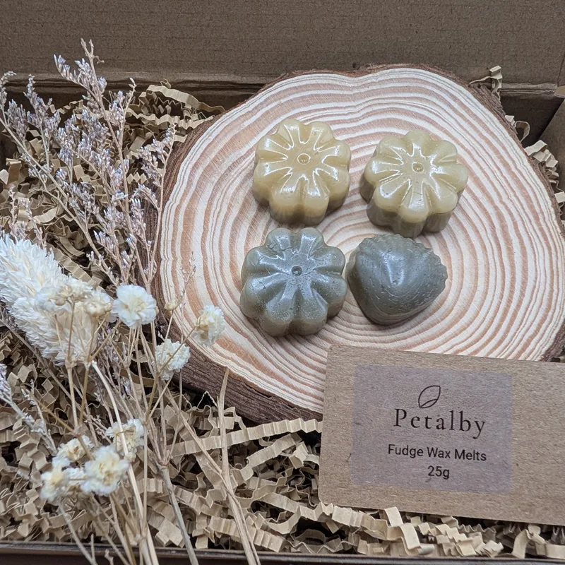Fudge Wax Melts — Petalby