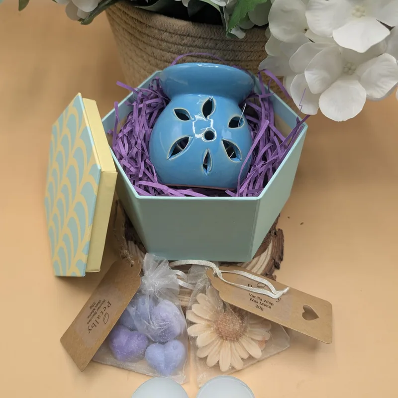 Wax Melt Starter Gift Set — Petalby